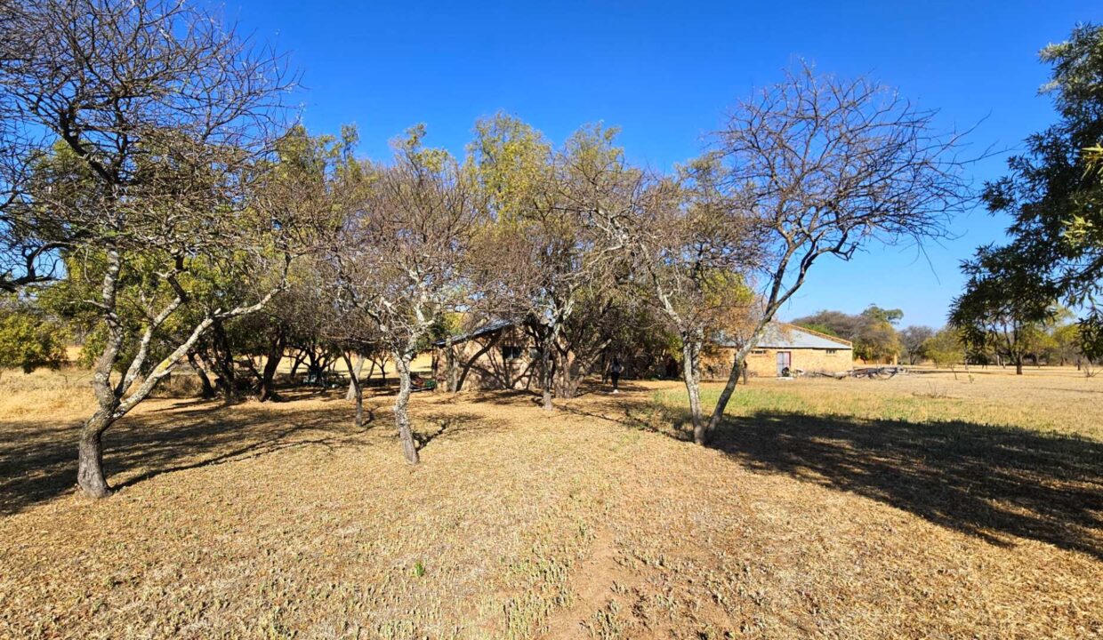 f_0833bf360bce40348bdba4fb1e2ba3c4