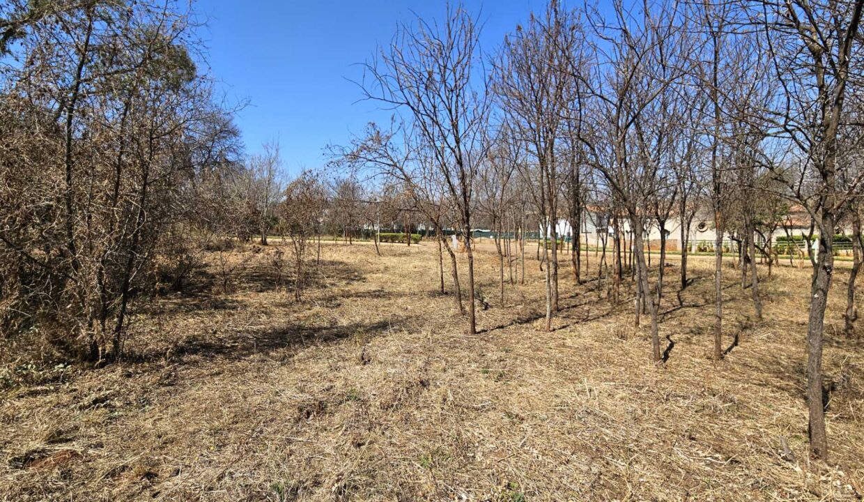 f_168db28e0fbd4e319ac22b8f549ed261