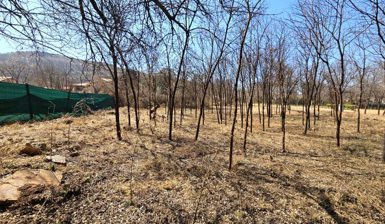 f_1810c816cd594d0ba538e0747f737152