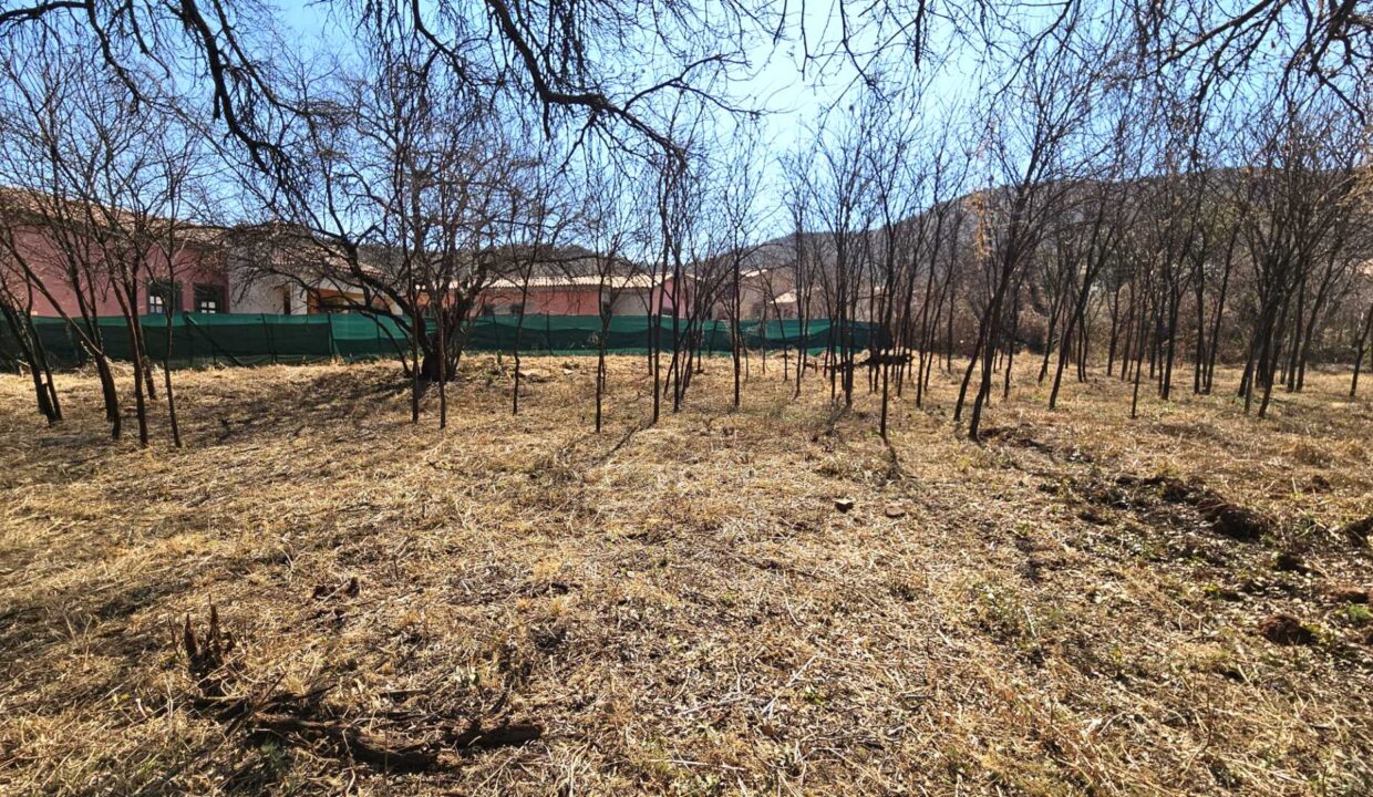 f_18726af6cb6d4818af02212809df2068