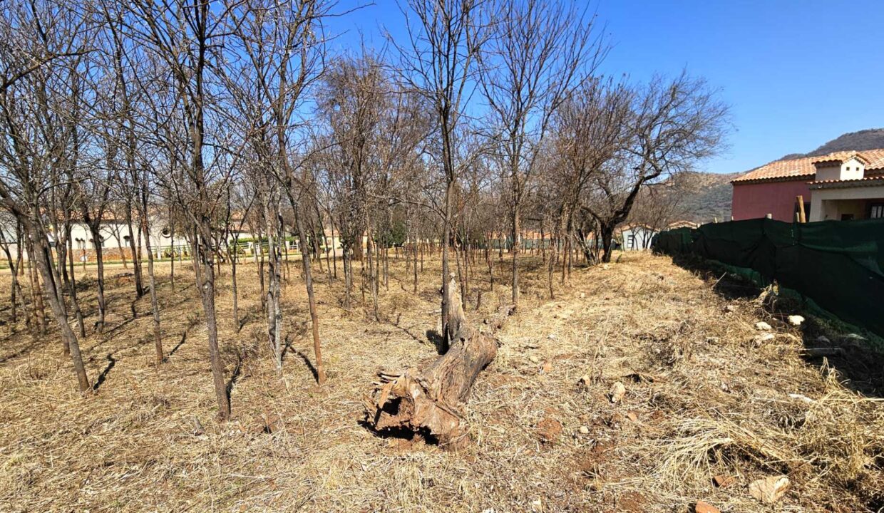 f_28b03861c36645cc90fa3bc5d51a7c6c