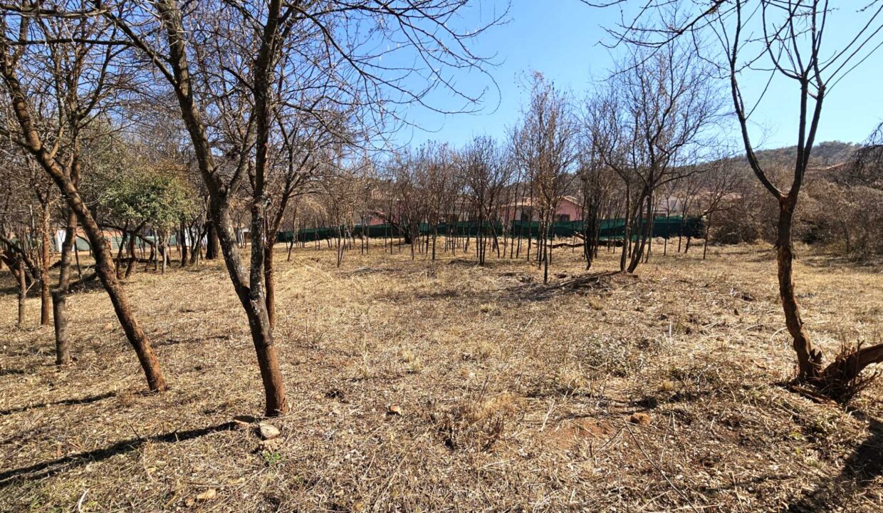 f_63f81938df514d96a2e783ea96784a1d