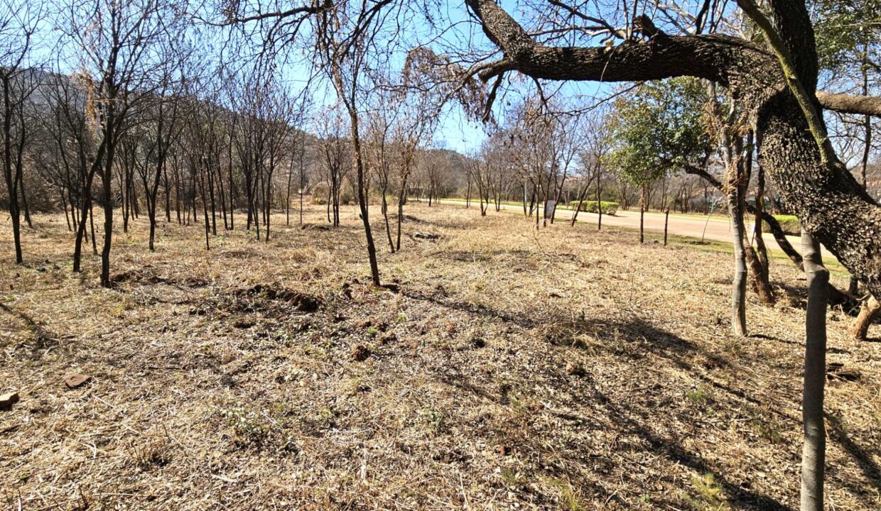 f_c6afeb8474ff476c968652edcfb696f4