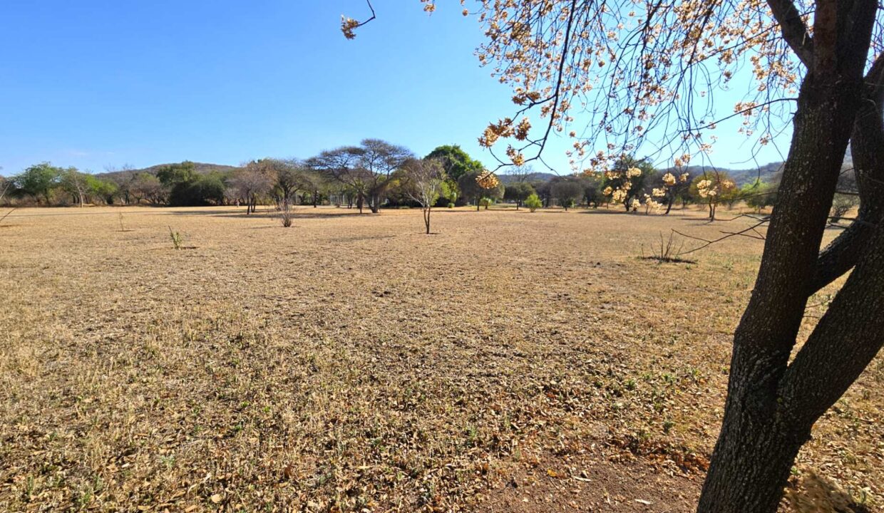 f_ce87170c94db4c91bb8922c384a30404