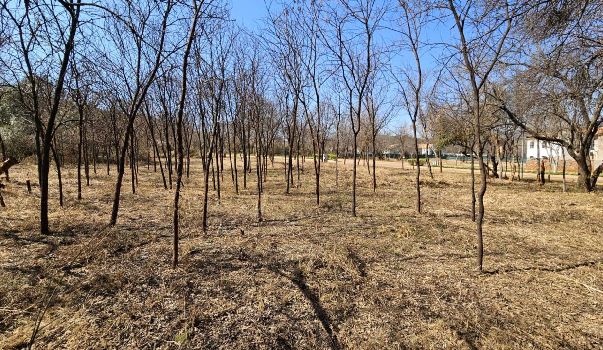 f_ee347db1edfd44c383ce6ab55441c117