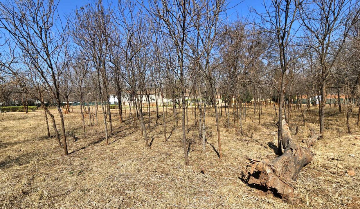 f_ee4d2702614743c489300d266430e6a7